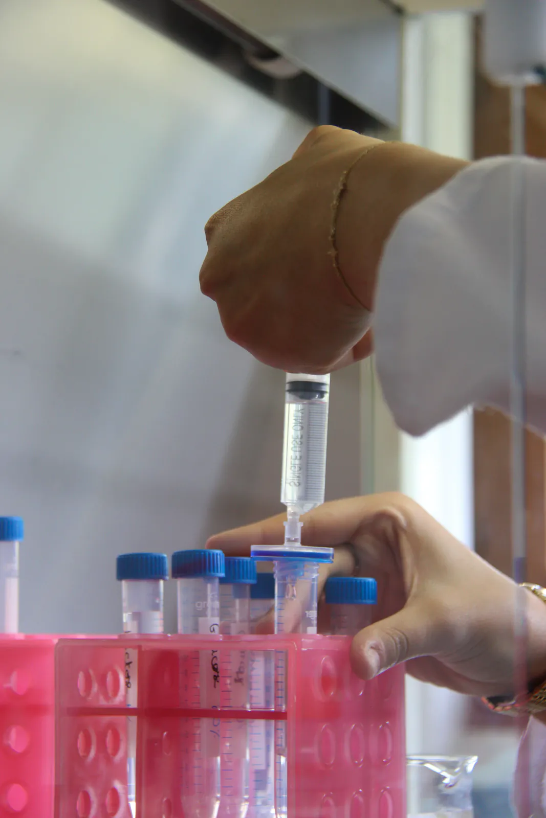 Manipulation d’un échantillon liquide sous hotte de laboratoire.