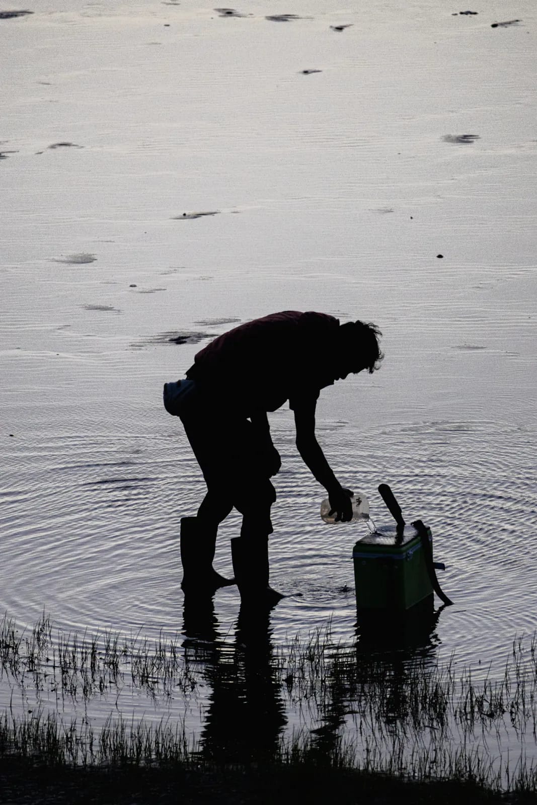 Prélèvement d’un échantillon d’eau en milieu naturel.